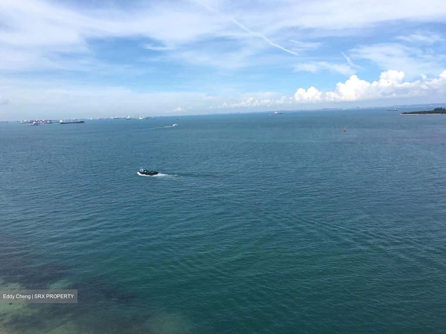 Lakeshore View (D4), Condominium #590773481